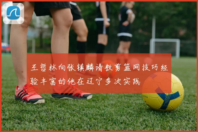 王哲林向张镇麟请教剪篮网技巧经验丰富的他在辽宁多次实践